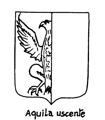 Imagem do termo heráldico: Aquila uscente